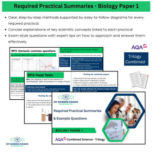 preview of biology paper 1 summary sheets